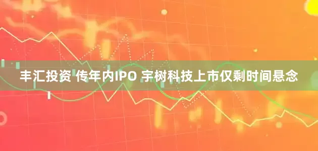 丰汇投资 传年内IPO 宇树科技上市仅剩时间悬念