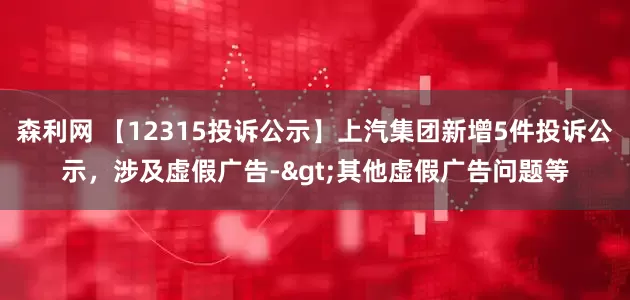 森利网 【12315投诉公示】上汽集团新增5件投诉公示，涉及虚假广告->其他虚假广告问题等