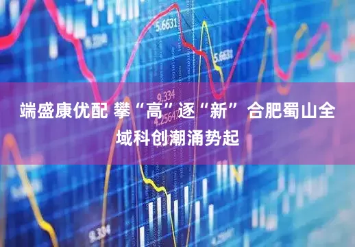 端盛康优配 攀“高”逐“新” 合肥蜀山全域科创潮涌势起